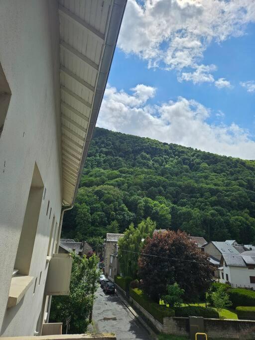 Chez Louise, Appartement T3 A Deux Pas Du Centre Bagnères-de-Luchon Exterior foto